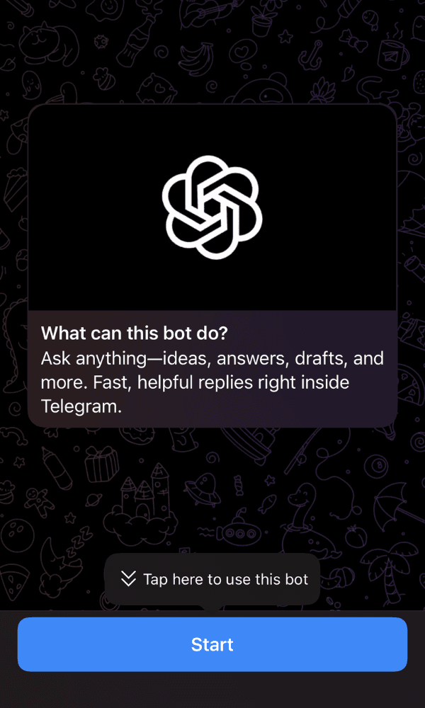 ChatGPT screenshot 1